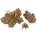 Desert Rose (1 Pound) Size 3.5 Inches Crystal Gemstone Specimen