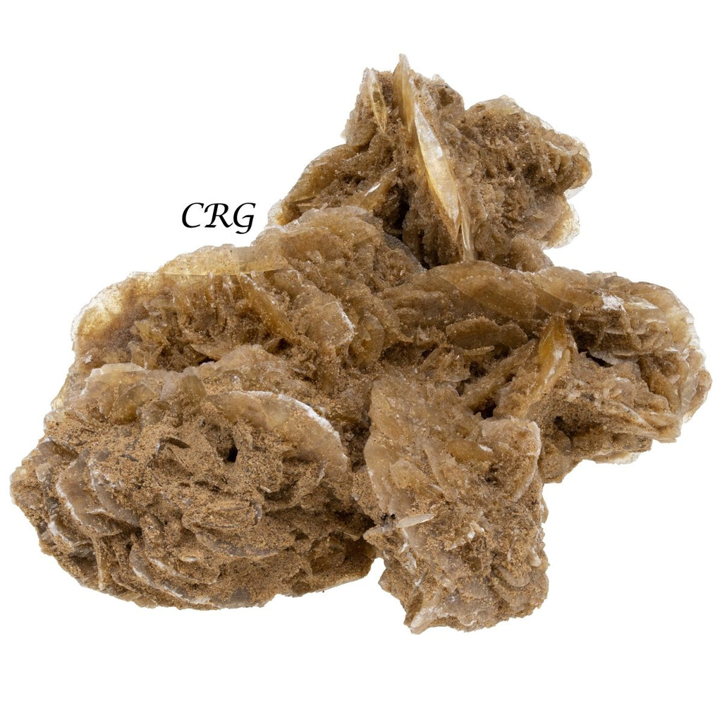 Desert Rose (1 Pound) Size 3.5 Inches Crystal Gemstone Specimen
