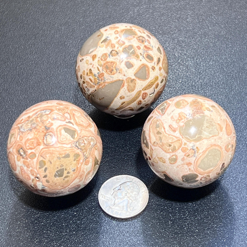 Leopardite Sphere Carving (1.5 Inch)(Leopard Skin Jasper)