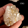 Elestial Alligator Included Quartz (1 to 3 Inches)