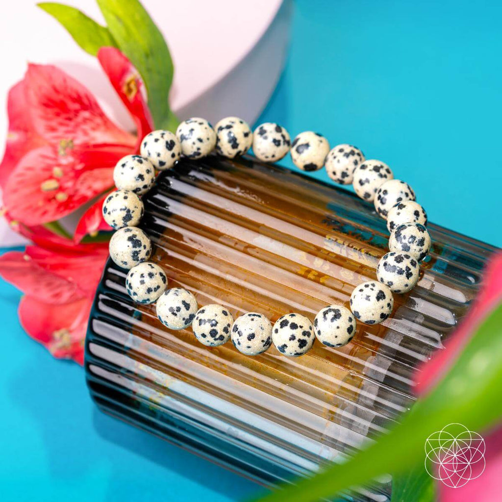 Emotional Detox - Dalmatian Jasper Bracelet