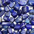 Extra Quality Lapis Lazuli Tumbled Pieces (Size 1 to 2 inches) Bulk Wholesale Lot Crystals Minerals