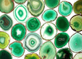 Green Agate Slice Size #3 (3.5 To 4 Inches) (1 Piece)