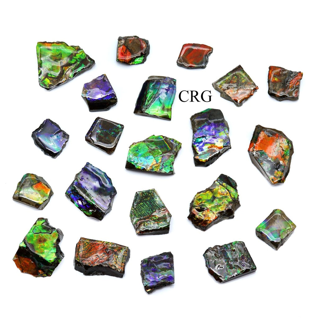 Fire Ammolite Fossil (Size 1 To 2 Inches) (1 Piece) Hand Carved Polished Gemstone Decor