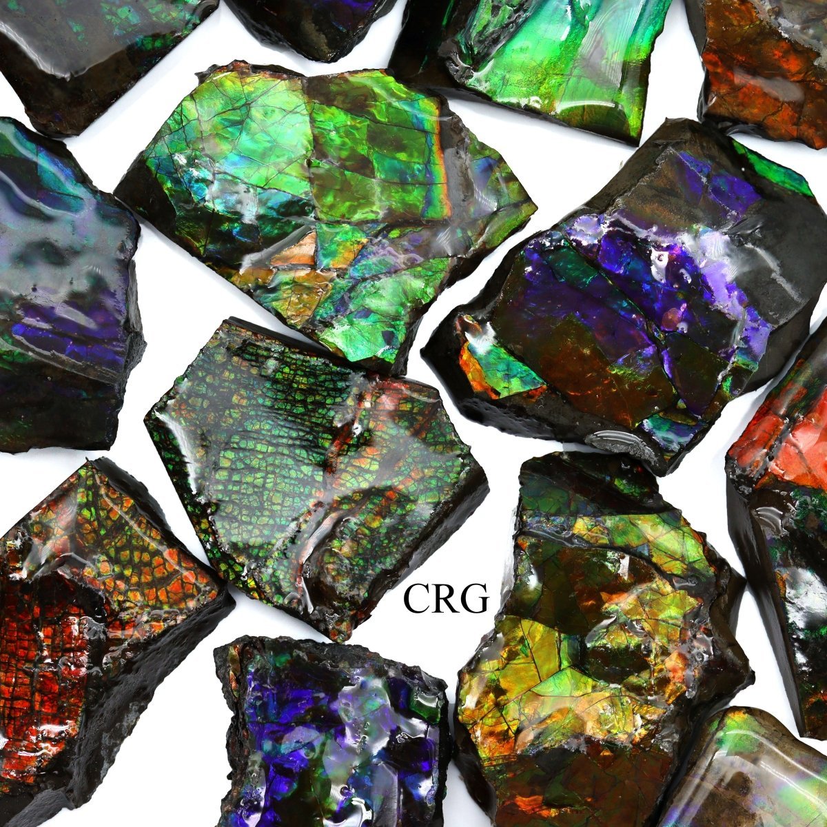 Fire Ammolite Fossil (Size 1 To 2 Inches) (1 Piece) Hand Carved Polished Gemstone Decor