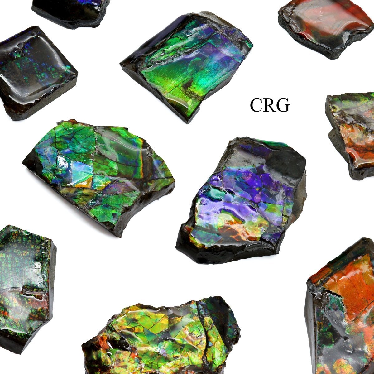 Fire Ammolite Fossil (Size 1 To 2 Inches) (1 Piece) Hand Carved Polished Gemstone Decor