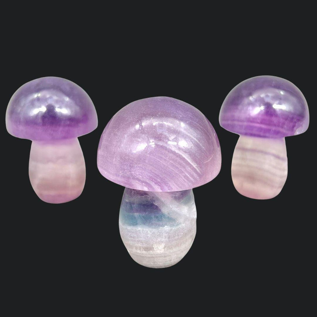 Fluorite Mushroom 2 to 3 Inches (1 Pound)