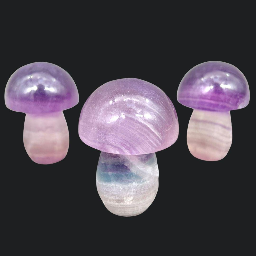 Fluorite Mushroom 2 to 3 Inches (1 Pound)