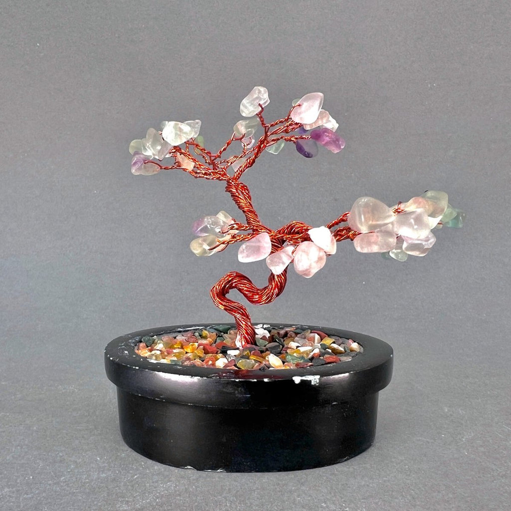 Fluorite Tiny Gemstone Tree Copper Wire On Soapstone Base 4 to 5 Inches (Set Of 2)