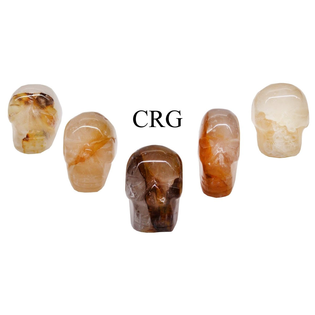 Golden Healer Quartz Skull (5 Pieces) Size 30 mm Crystal Gemstone Carvings