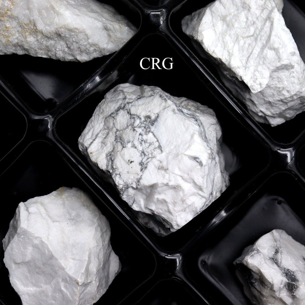 Howlite Rough Flat (24 Pieces) Size 1.5 to 1.75 Inches Bulk Wholesale Lot Crystal Gemstone Minerals