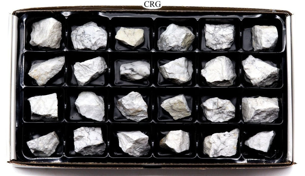 Howlite Rough Flat (24 Pieces) Size 1.5 to 1.75 Inches Bulk Wholesale Lot Crystal Gemstone Minerals