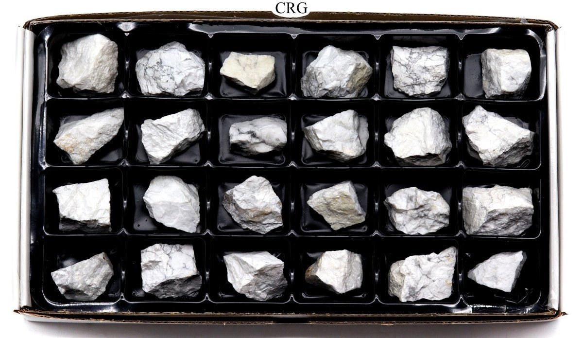 Howlite Rough Flat (24 Pieces) Size 1.5 to 1.75 Inches Bulk Wholesale Lot Crystal Gemstone Minerals