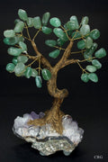 Large Brazilian Green Aventurine Tree w/Crystal Base (5.5"-6.5")