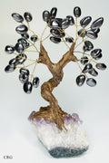 Large Brazilian Hematite Tree w/Crystal Base (5.5"-6.5")