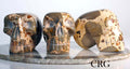 Large Peru Leopardite Skull 75mm