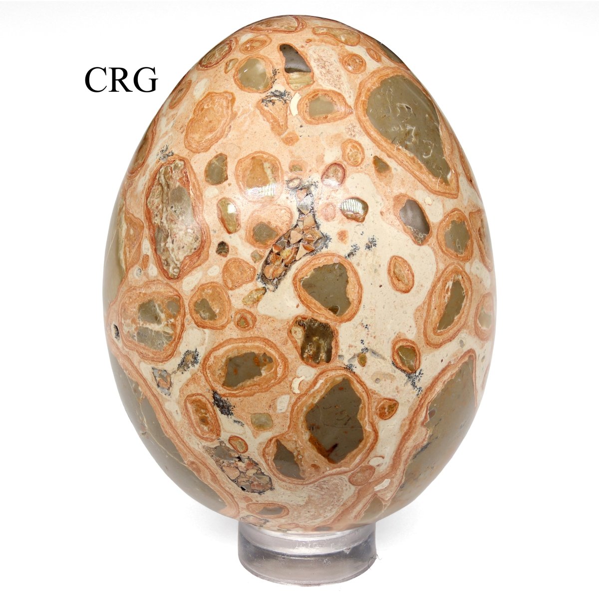 Leopardite Jasper Egg (1 Piece) Size 45 to 55 mm Polished Gemstone