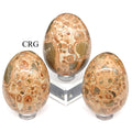 Leopardite Jasper Egg (1 Piece) Size 45 to 55 mm Polished Gemstone
