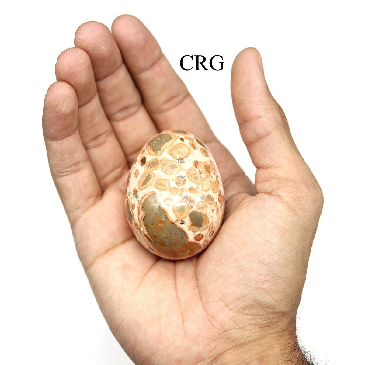 Leopardite Jasper Egg (1 Piece) Size 45 to 55 mm Polished Gemstone