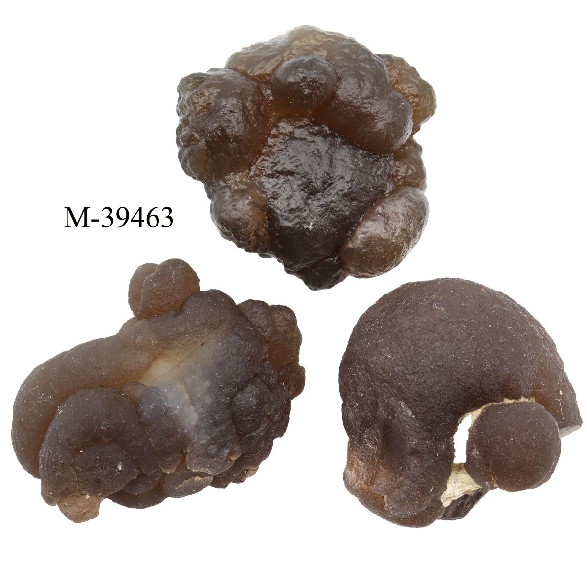 M-39463 Chalcedony from Morocco / WHOLESALE LOT 1.4 g