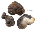 M- 39482 Chalcedony from Morocco / WHOLESALE LOT 2.4 oz.