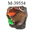M-39554 Polished Fire Ammolite From Canada