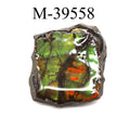 M-39558 Polished Fire Ammolite From Canada