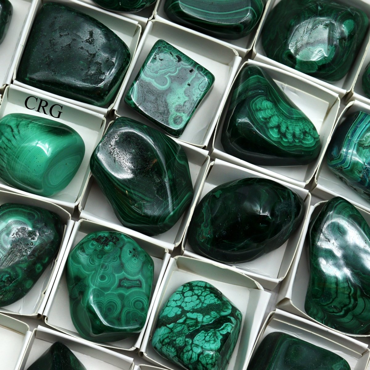 Malachite 24 Piece Flat - 2"