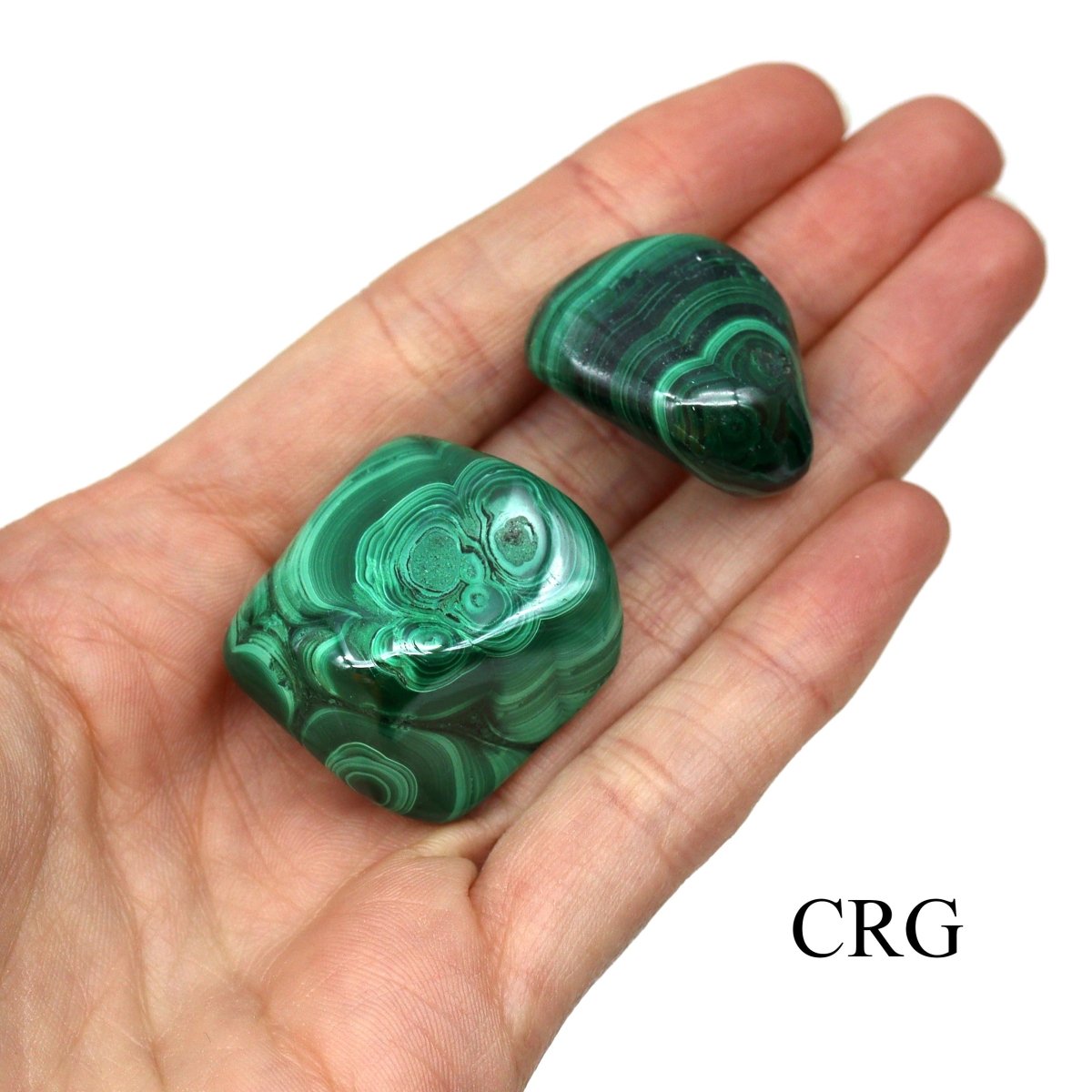 Malachite 24 Piece Flat - 2"