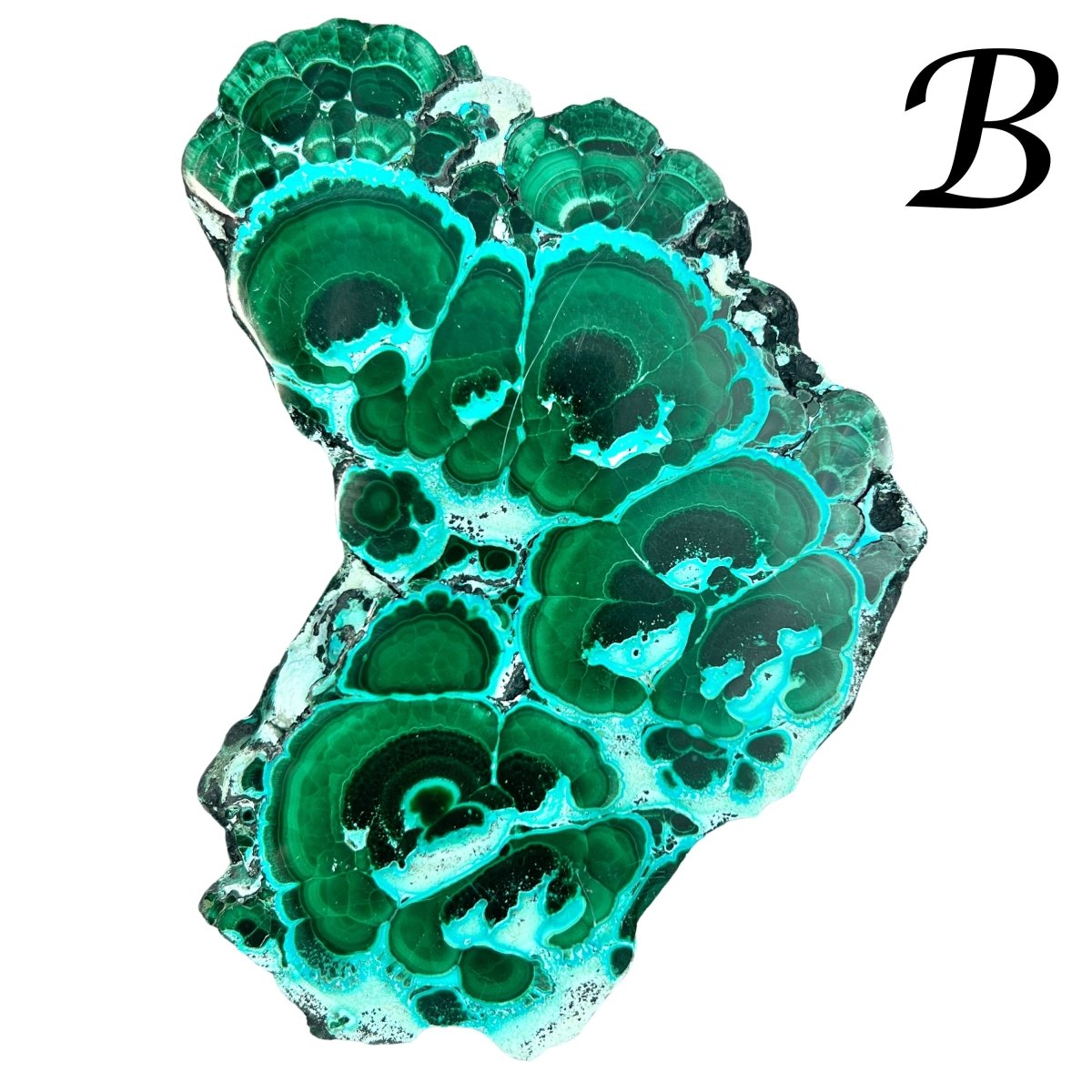 Malachite with Chrysocolla Slab Bulk Wholesale Crystals Minerals Gemstones