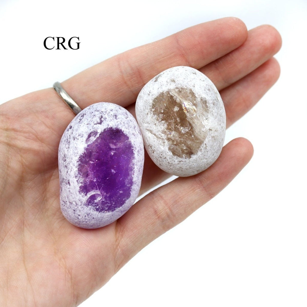 Mixed Ema Egg Boxed Flat (24 Pieces) (1 to 1.5 Inches) Bulk Wholesale Crystals Minerals Gemstones