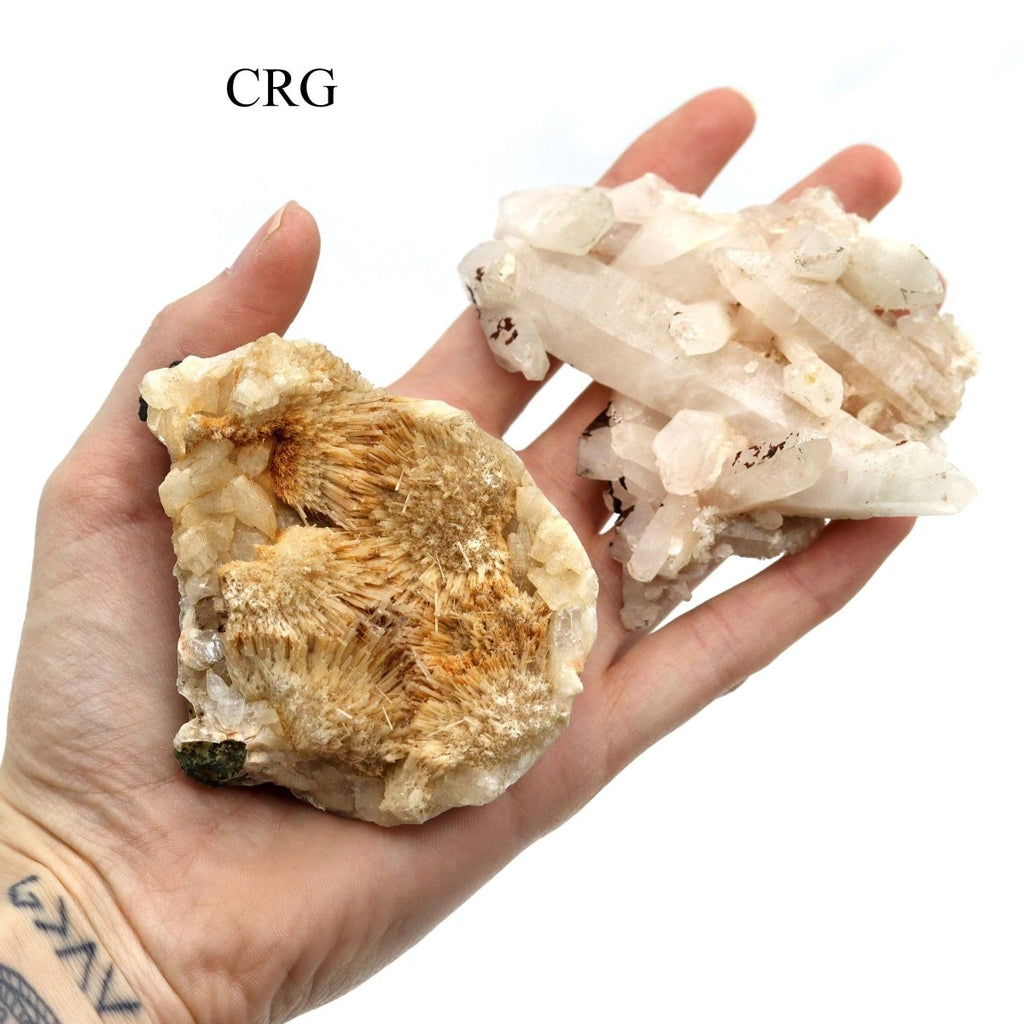 Mixed Zeolite Specimens / 2.5-4" AVG - 12 PIECE FLAT