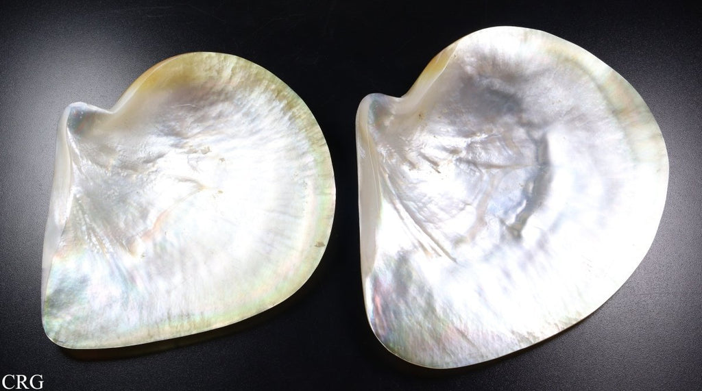 Mother of Pearl Shell Dish (1 Piece) Size 5.5 to 6 Inches Polished Nacre Shell