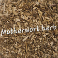 Motherwort (Leonurus cardiaca)