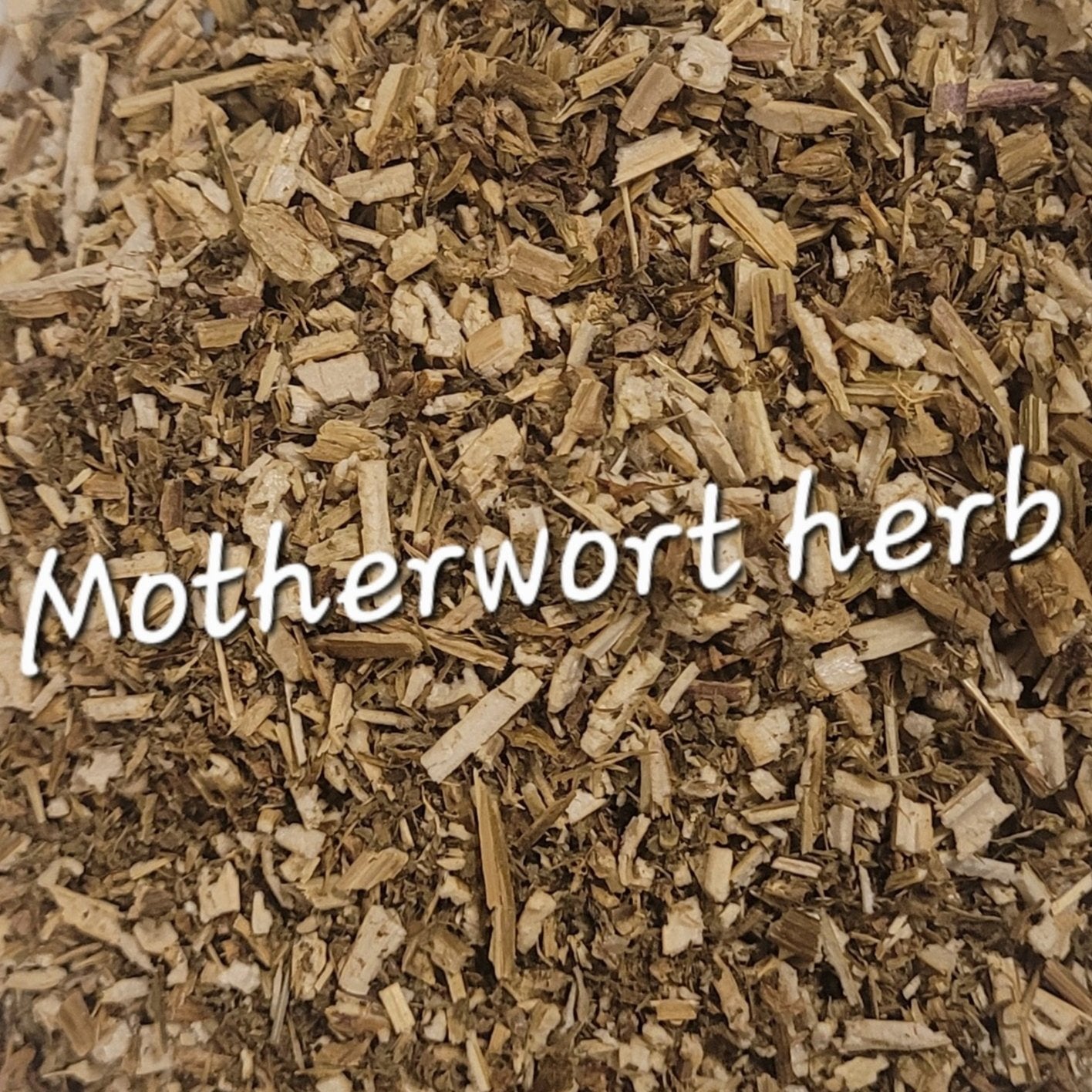 Motherwort (Leonurus cardiaca)