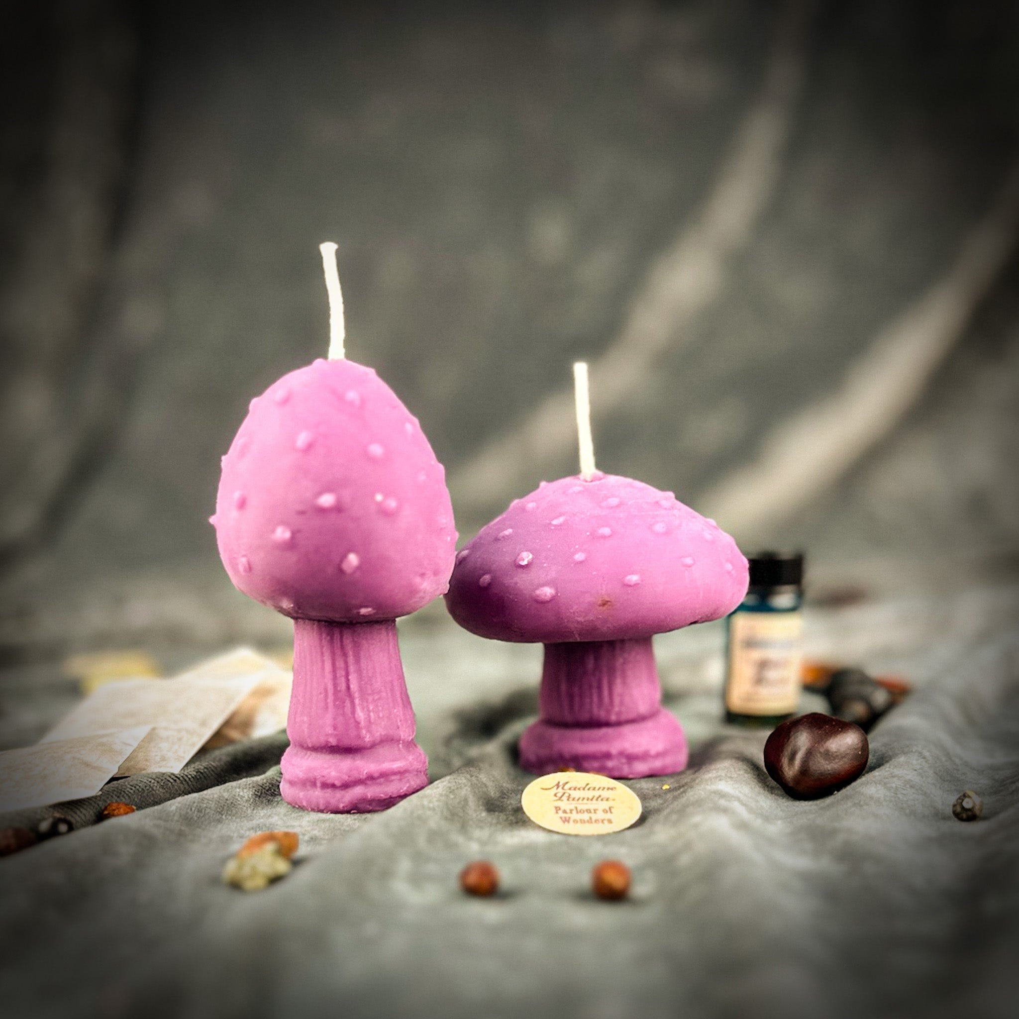 Mystical Mushroom Duo Candle Spell Kit - Forest Wisdom & Shadow Work Magic