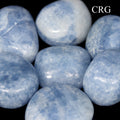 One Piece - Blue Calcite Palm Stone 1"- 3" avg.