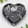 Orthoceras Heart plate with Ammonite (1 Piece)