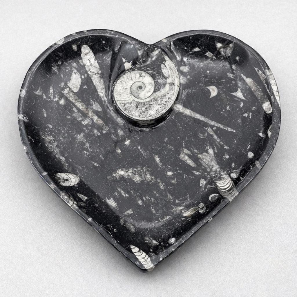 Orthoceras Heart plate with Ammonite (1 Piece)