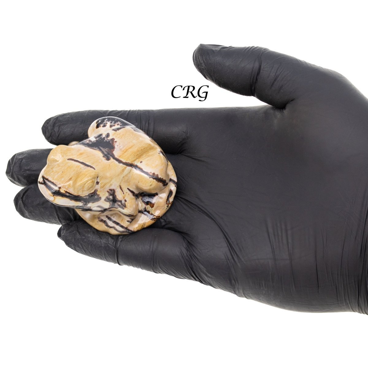Picture Jasper Frog (1 Piece) Size 2.5 Inches Crystal Gemstone Animal Carving
