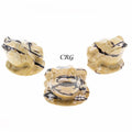Picture Jasper Frog (1 Piece) Size 2.5 Inches Crystal Gemstone Animal Carving