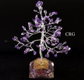 QTY 1 - Amethyst 100 Chip Tree with Orgonite Pyramid Base