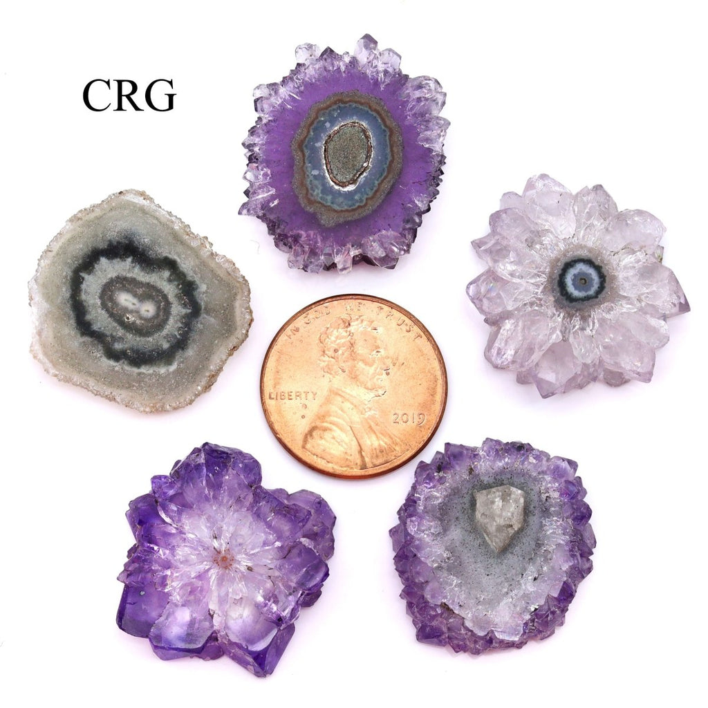 QTY 1 - Amethyst Stalactite / 20-25 MM AVG