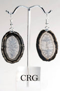 QTY 1 - Black Agate Slice Earrings with Silver Plated Ear Wire / 1-2" AVG