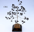 QTY 1 - Black Tourmaline 100 Chip Tree with Orgonite Pyramid Base / 7.5" AVG