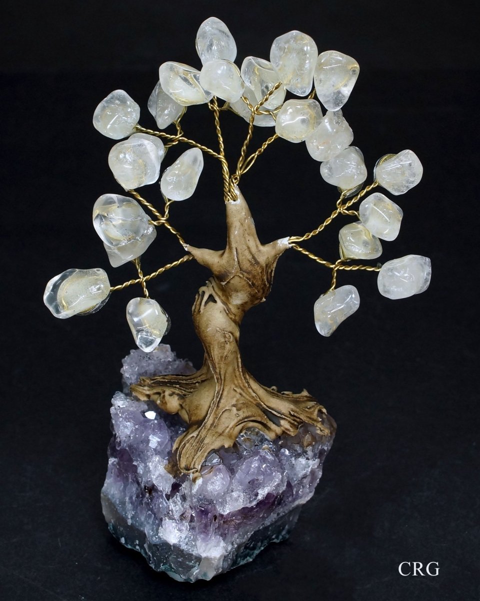 QTY 1 - Brazilian Clear Quartz Tree w/ Crystal Base / 3" - 5" SM.