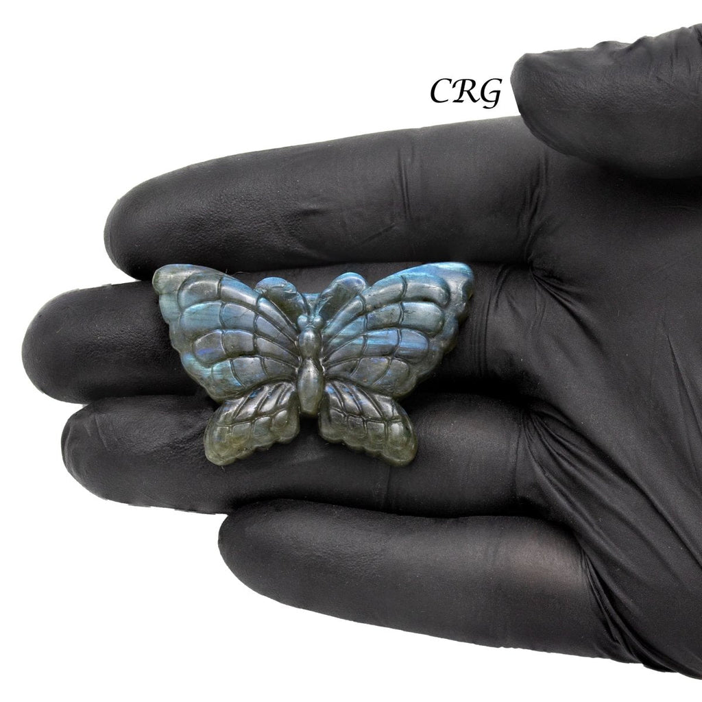 Qty 1 - Butterfly Labradorite Super Flash Carving