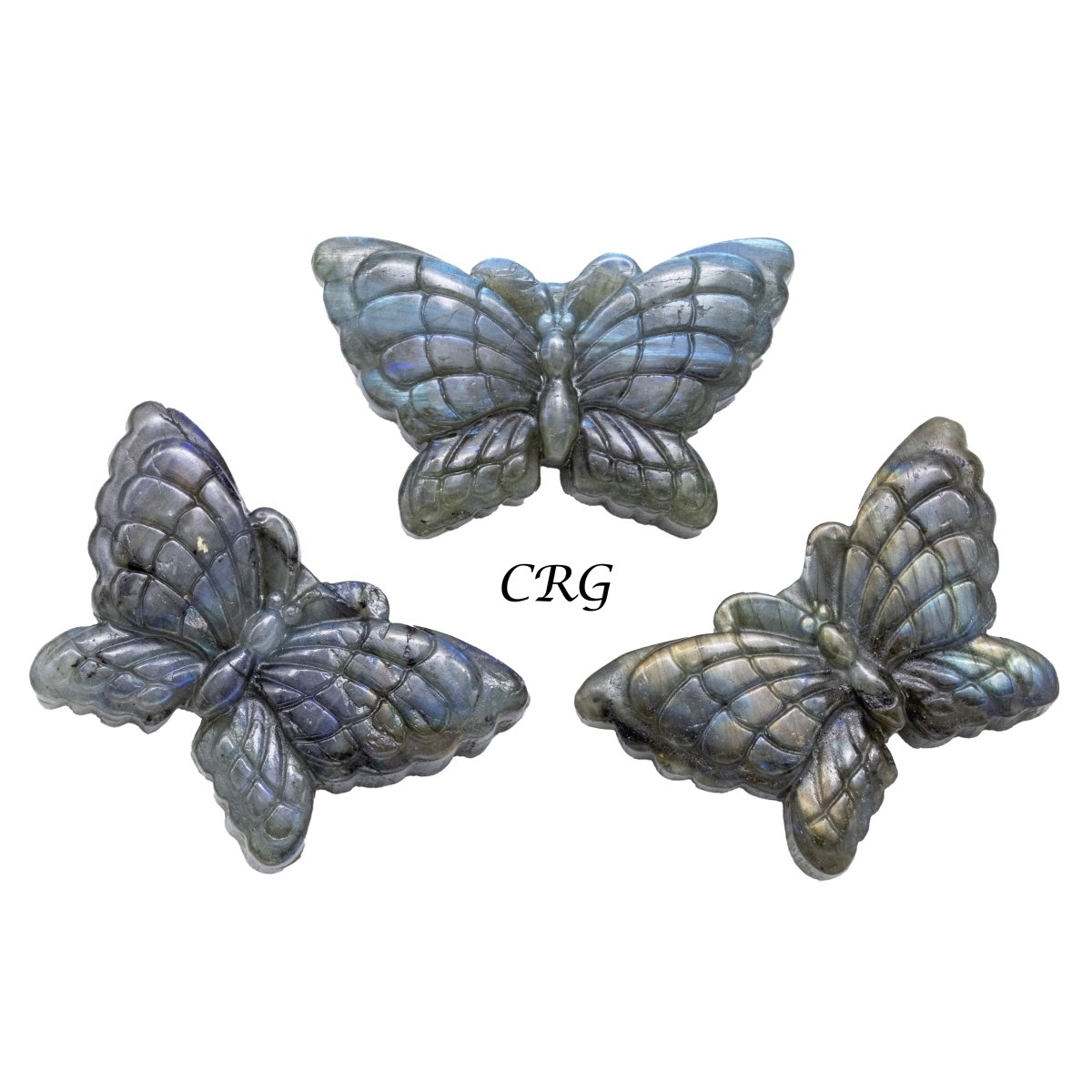Qty 1 - Butterfly Labradorite Super Flash Carving