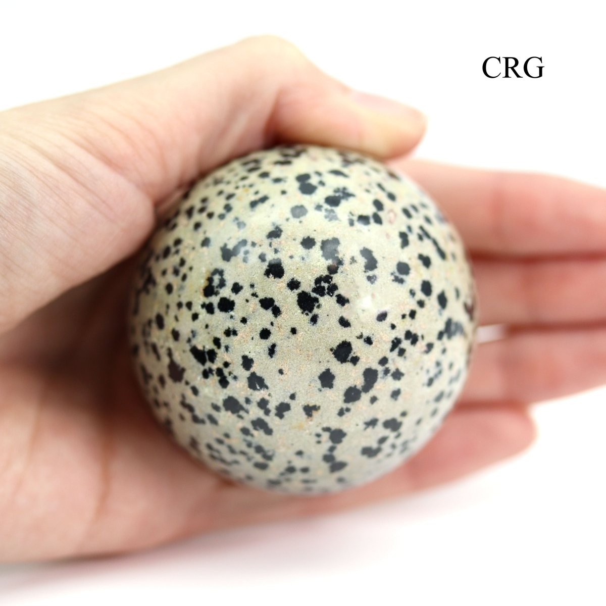 QTY 1 - Dalmatian Jasper Gemstone Sphere / 40-50mm AVG