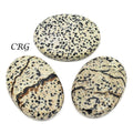 QTY 1 - Dalmatian Jasper Palm Stone / 2" Avg